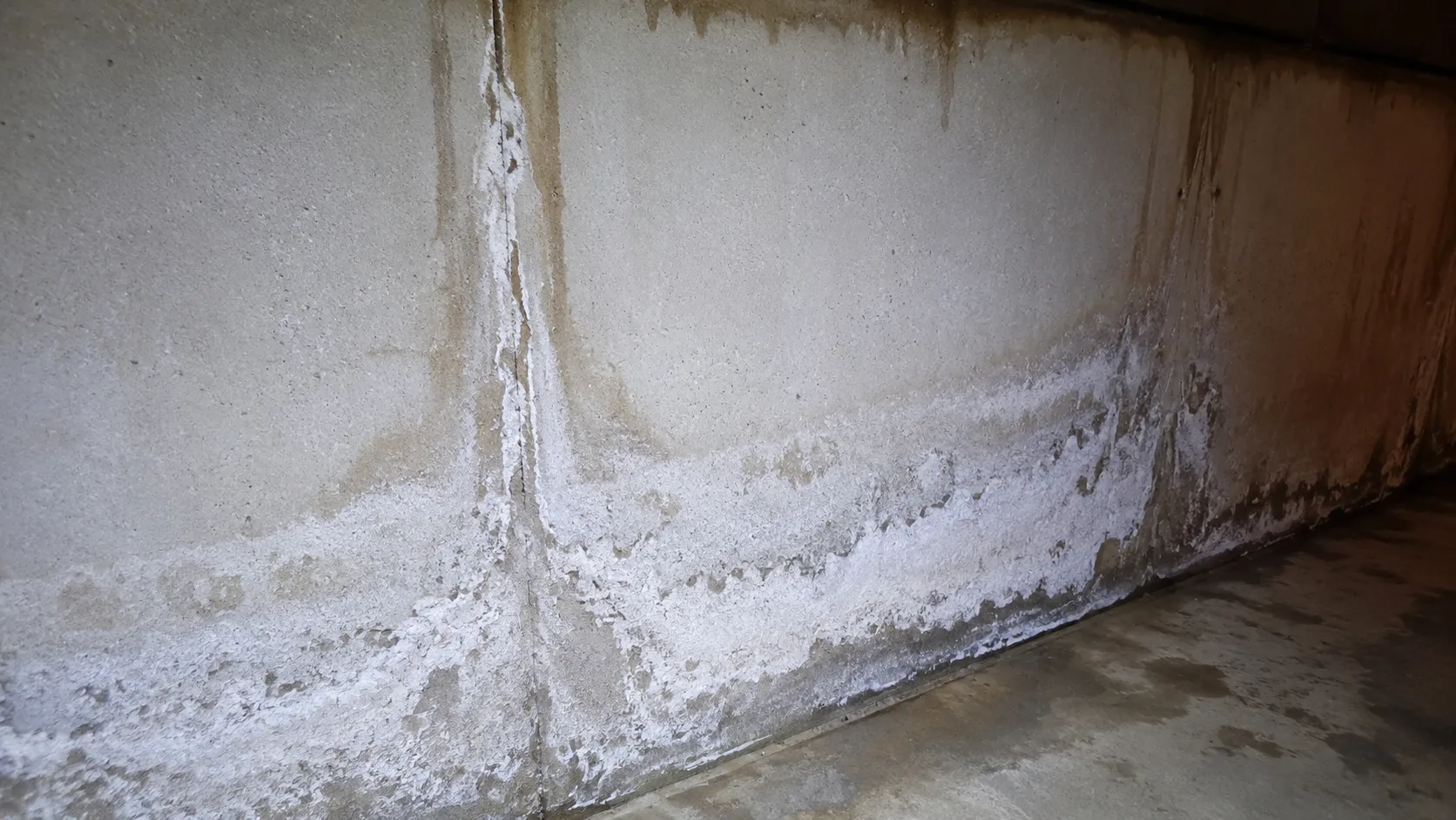Moisture & efflorescence — Home Inspectors Twin Cities